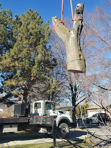 Crane lifting a massive trunk section out of a Salt Lake Valley yard